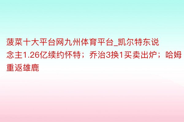 菠菜十大平台网九州体育平台_凯尔特东说念主1.26亿续约怀特；乔治3换1买卖出炉；哈姆重返雄鹿