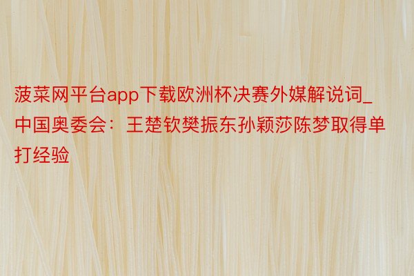 菠菜网平台app下载欧洲杯决赛外媒解说词_中国奥委会：王楚钦樊振东孙颖莎陈梦取得单打经验